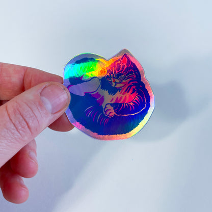 Kitten Sticker