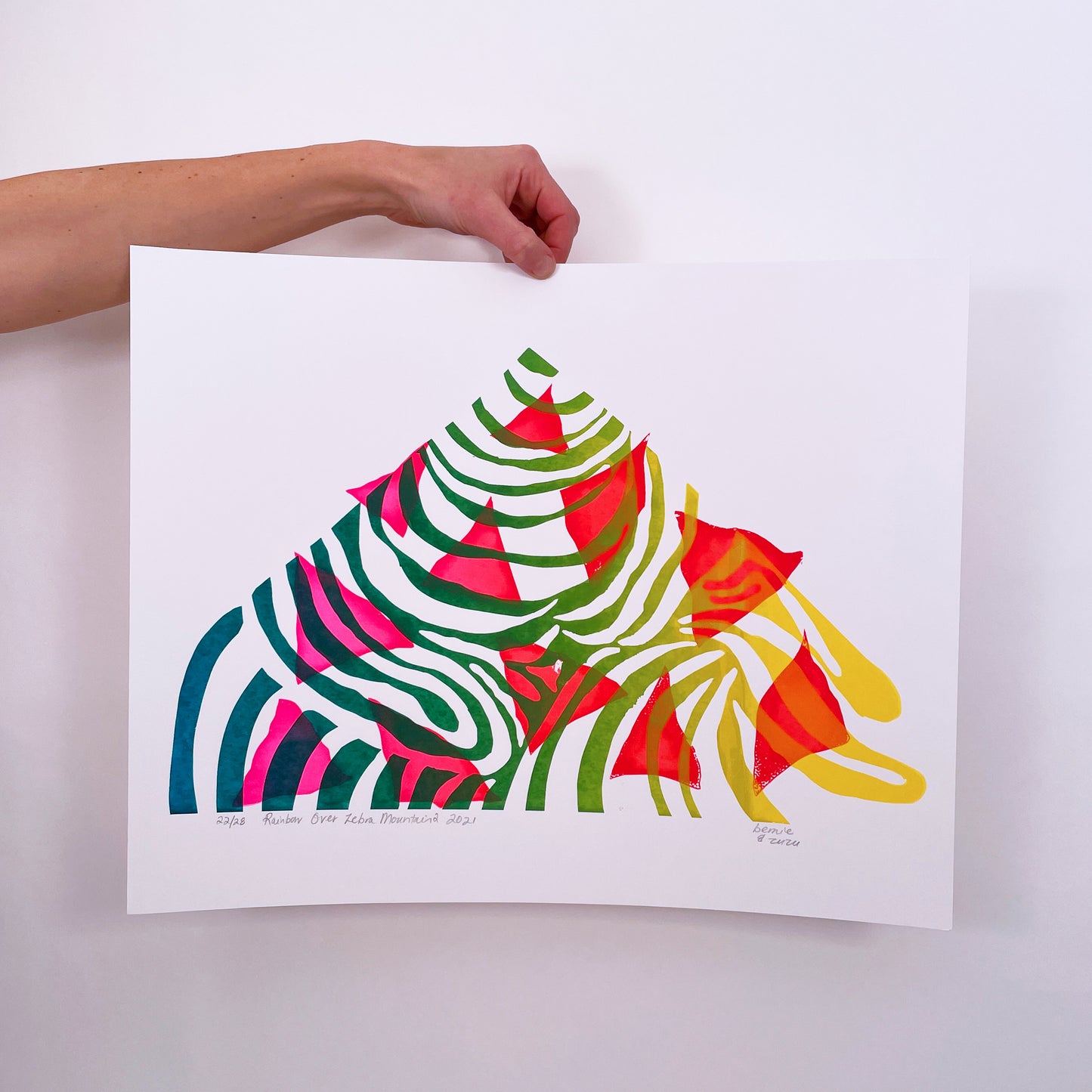 Rainbow over Zebra Mountain Print