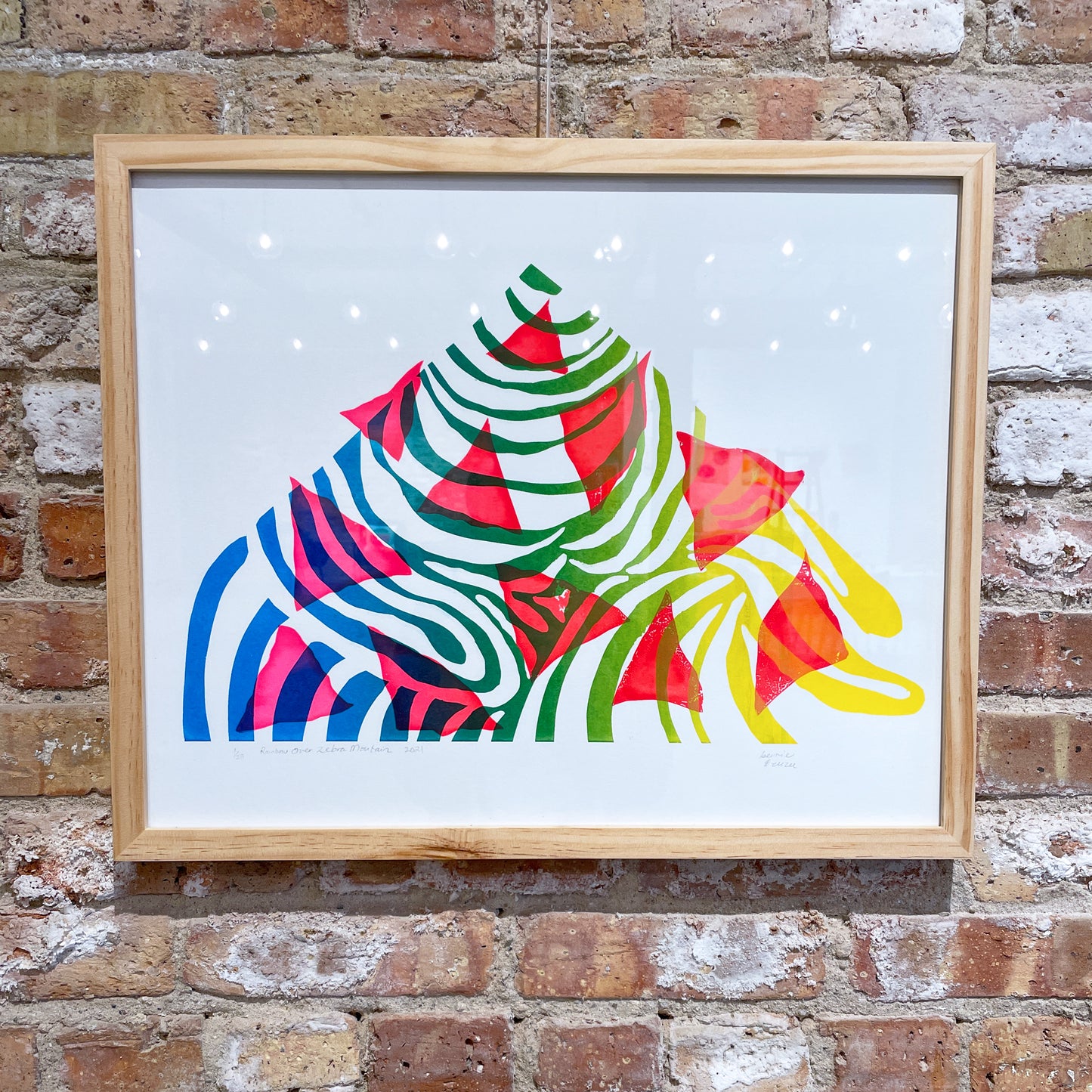 Rainbow over Zebra Mountain Print